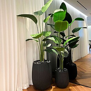 ציפור גן עדן מלאכותי 1.6 מטר ציפור גן עדן מלאכותי 1.6 מטר