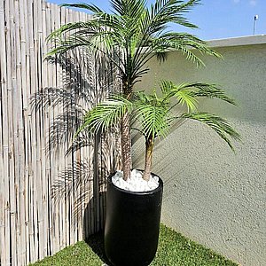 דקל 2 גזעים 1.2 מטר עם עמידות בפני קרינת UV דקל 2 גזעים 1.2 מטר עם עמידות בפני קרינת UV