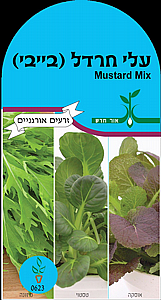 זרעי עלי חרדל (בייבי) זרעי עלי חרדל (בייבי)