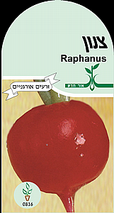 זרעי צנון זרעי צנון