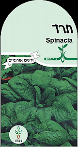 זרעי תרד זרעי תרד