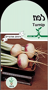 זרעי לפת זרעי לפת