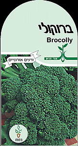 זרעי ברוקולי זרעי ברוקולי