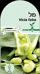 זרעי פול זרעי פול