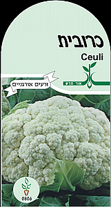 זרעי כרובית זרעי כרובית