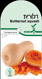 זרעי דלורית זרעי דלורית