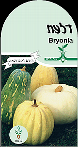 זרעי דלעת זרעי דלעת