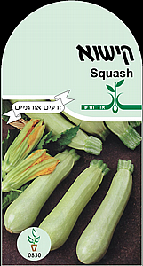 זרעי קישוא זרעי קישוא