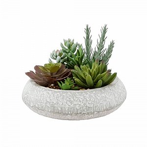 קערת סוקולנטים מעוצבת לשולחן קערת סוקולנטים מעוצבת לשולחן