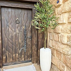 עץ זית מלאכותי 1.8 מטר עץ זית מלאכותי 1.8 מטר