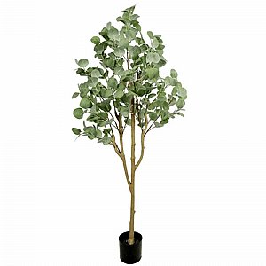 עץ אקליפטוס מלאכותי 1.5 מטר עץ אקליפטוס מלאכותי 1.5 מטר