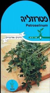 פטרוזיליה פטרוזיליה