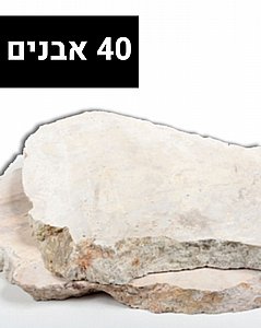 משטח אבני מדרך גלבוע (40 יחידות) - גוון אופוויט משטח אבני מדרך גלבוע (40 יחידות) - גוון אופוויט