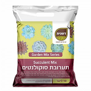 תערובת סוקולנטים וקקטוסים תערובת סוקולנטים וקקטוסים