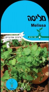 מליסה מליסה