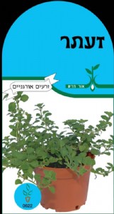 זעתר זעתר
