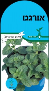 אורגנו אורגנו