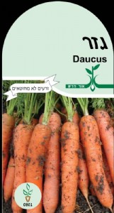 גזר גזר