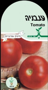 עגבניה עגבניה