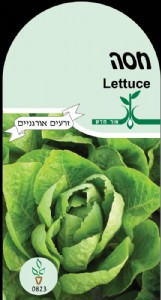 חסה חסה