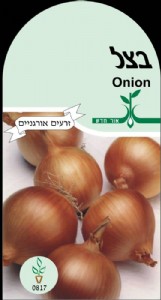 בצל בצל