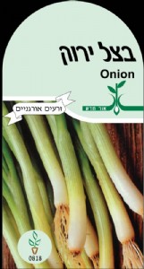 בצל ירוק בצל ירוק