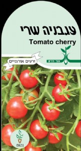 עגבניית שרי עגבניית שרי