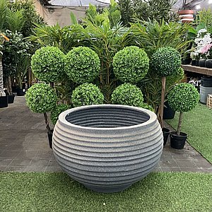 כד אמורו ברזילאי – עיצוב טבעתי כד אמורו ברזילאי – עיצוב טבעתי