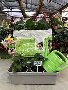 ערכה - איתי ערכה - איתי