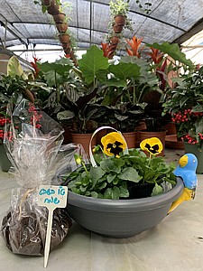 ערכה - ענבל ערכה - ענבל